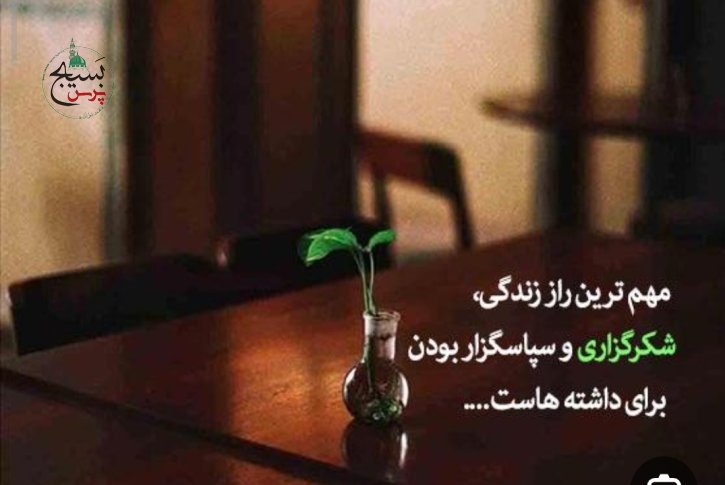 شکرگزاری