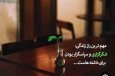 شکرگزاری